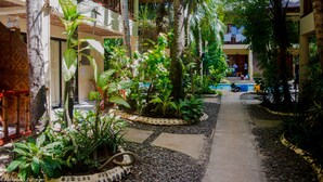 A courtyard with a pathway, surrounded by lush greenery and palm trees. - Alona Vida Beach Resort (Panglao)
