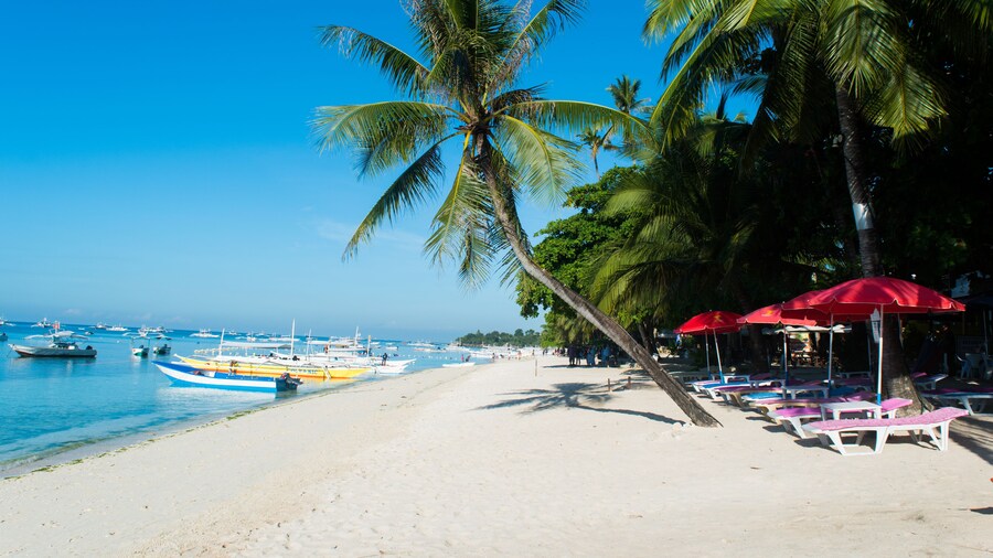 Alona Vida Beach Resort