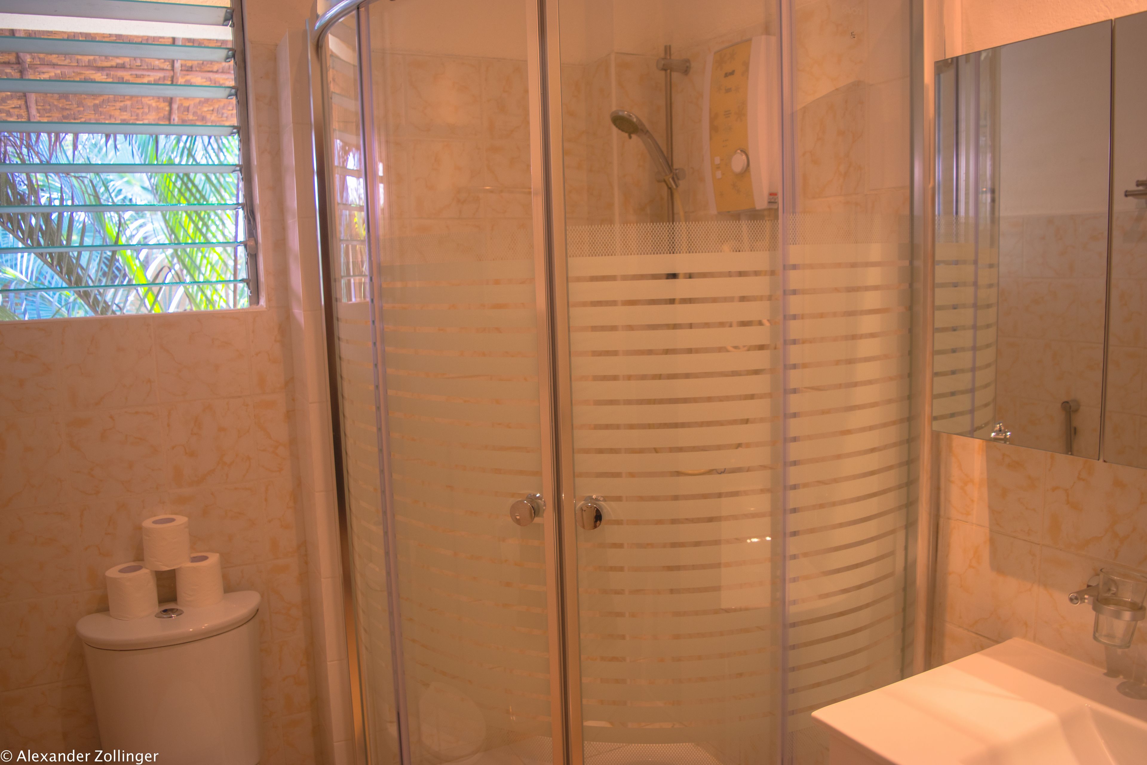 deluxe room | bathroom | shower, free toiletries, hair dryer, towels