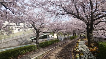 住宿景觀