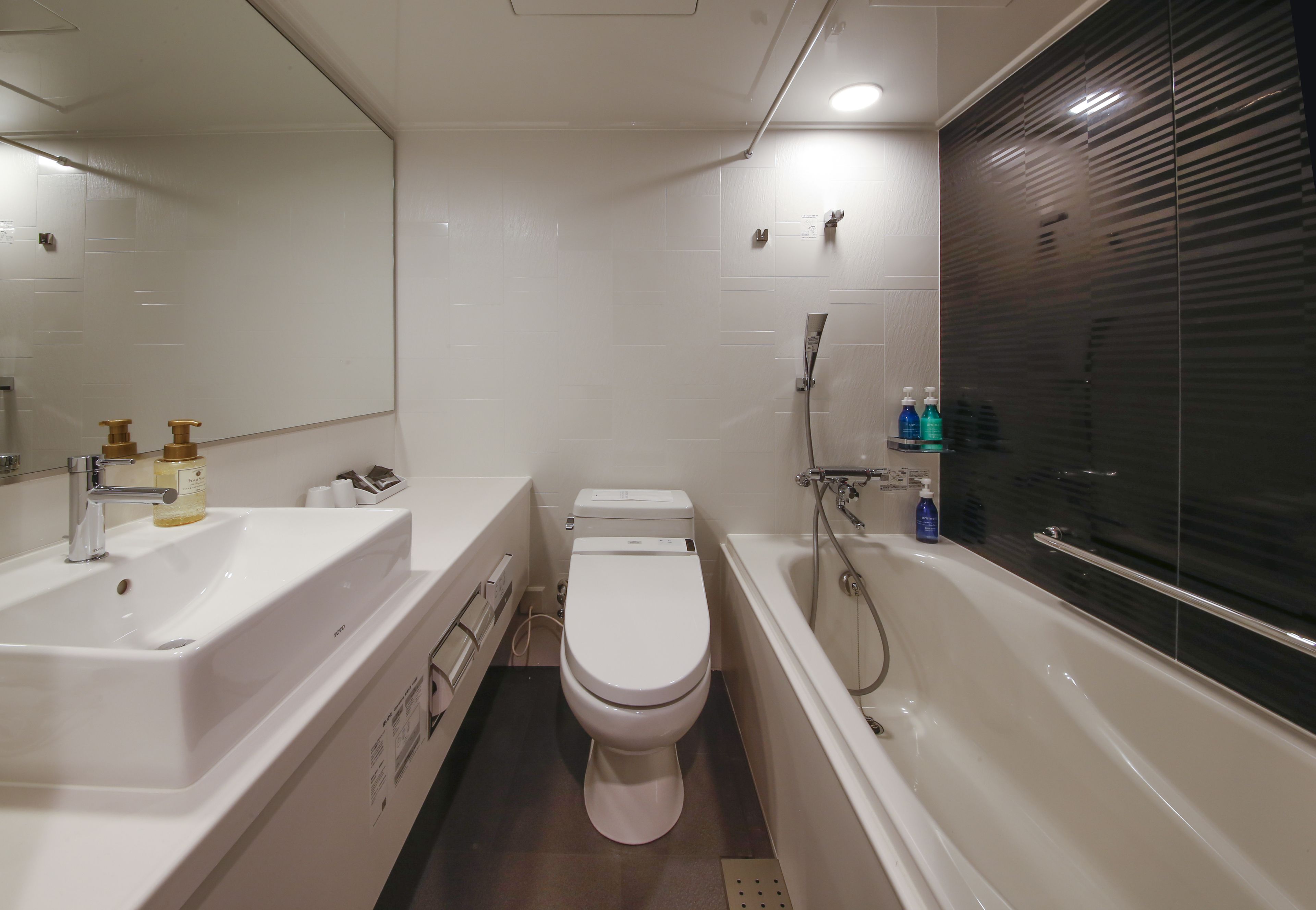 combined shower/bathtub, free toiletries, hair dryer, slippers