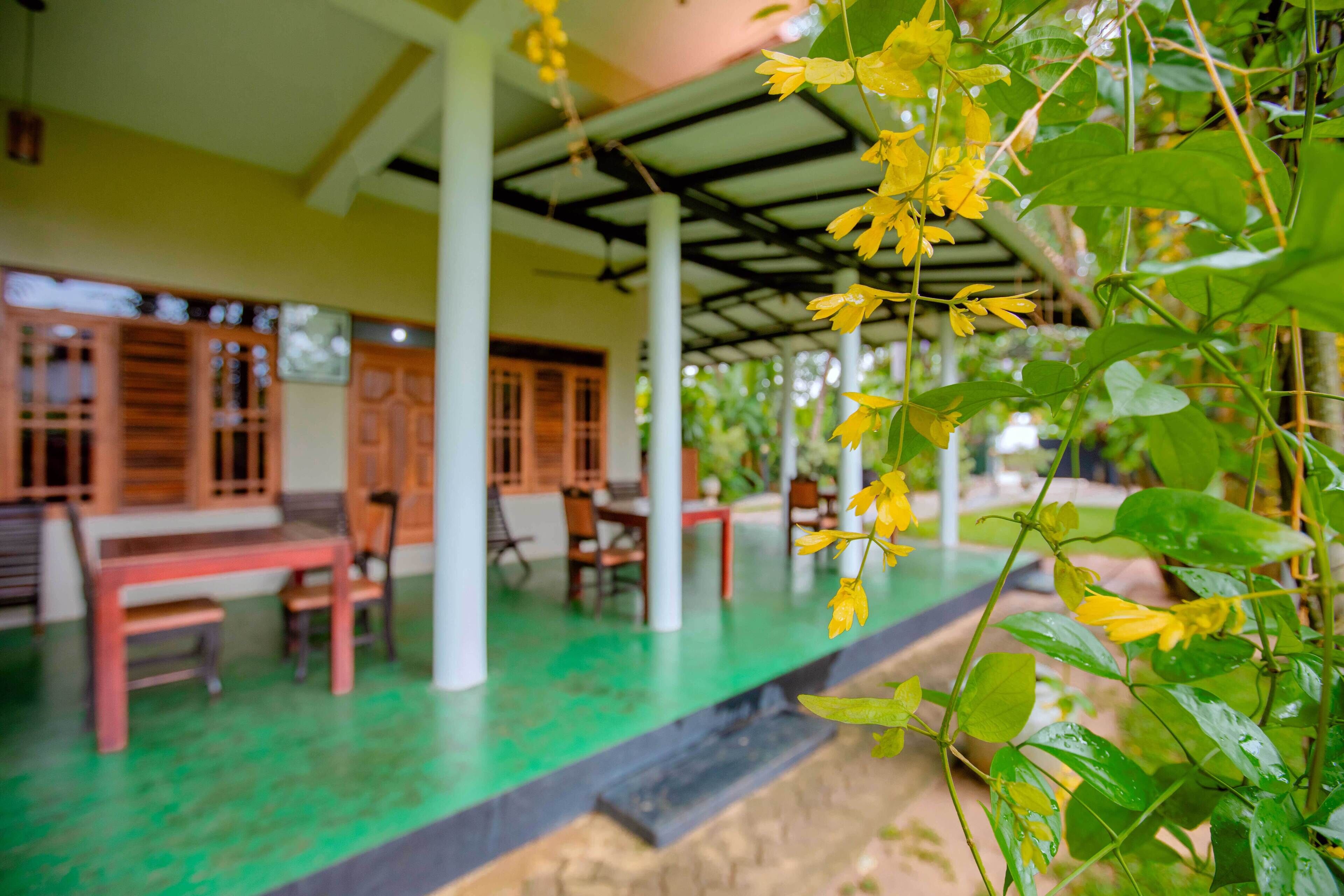 Cocina internacional 