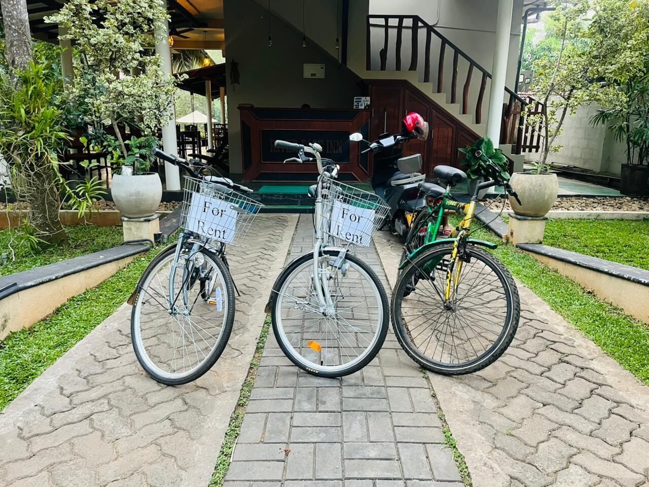 Three bicycles parked on a paved area with signs reading "For Rent."