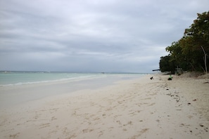 On the beach