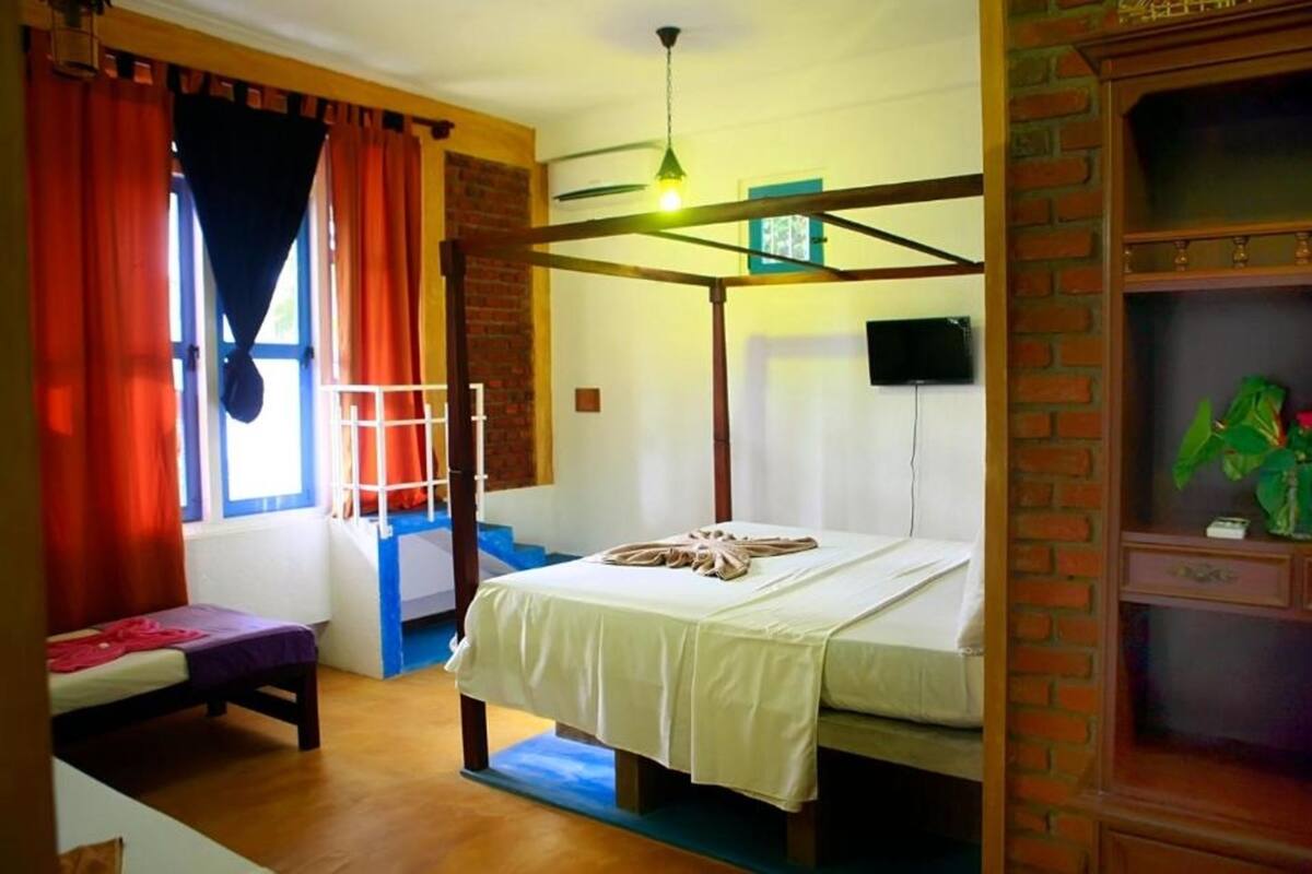 A room with a bunk bed, a desk, a chair, a TV, and a plant.
