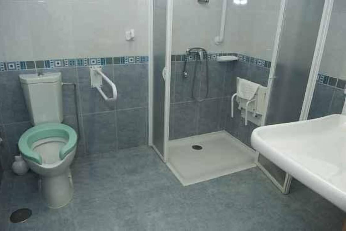 Ducha, artículos de tocador de diseñador, secador de pelo, bidet