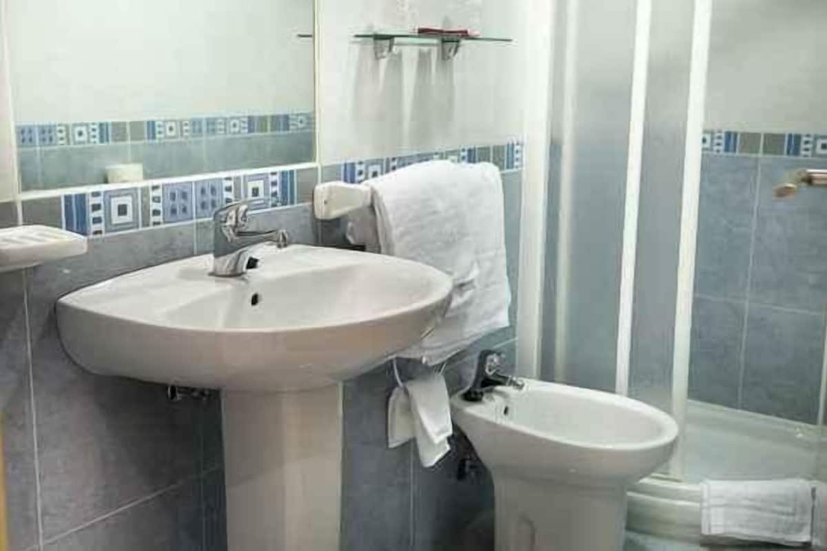 shower, designer toiletries, hair dryer, bidet