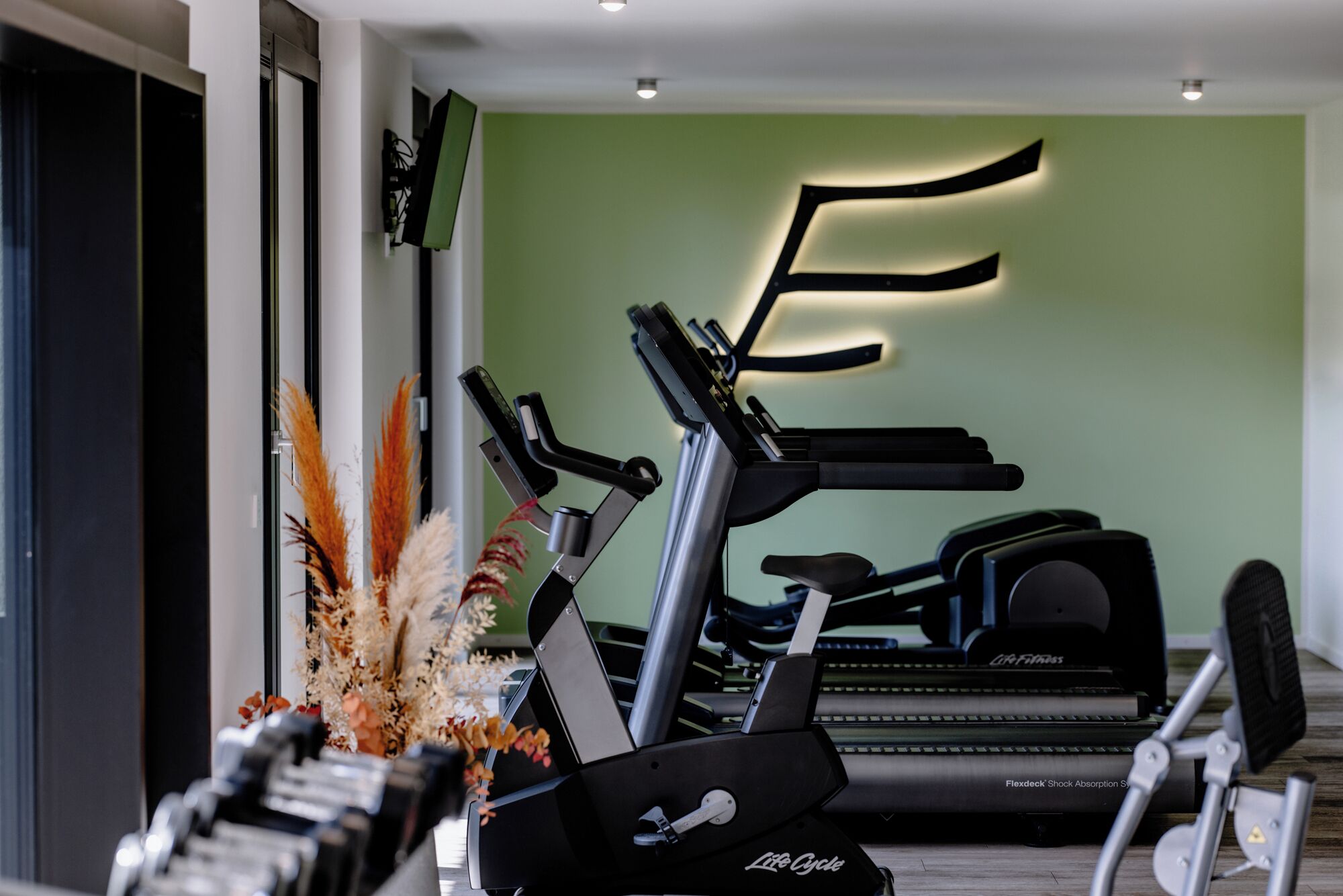 A gym with treadmills and stationary bikes, a green wall, and a decorative plant.