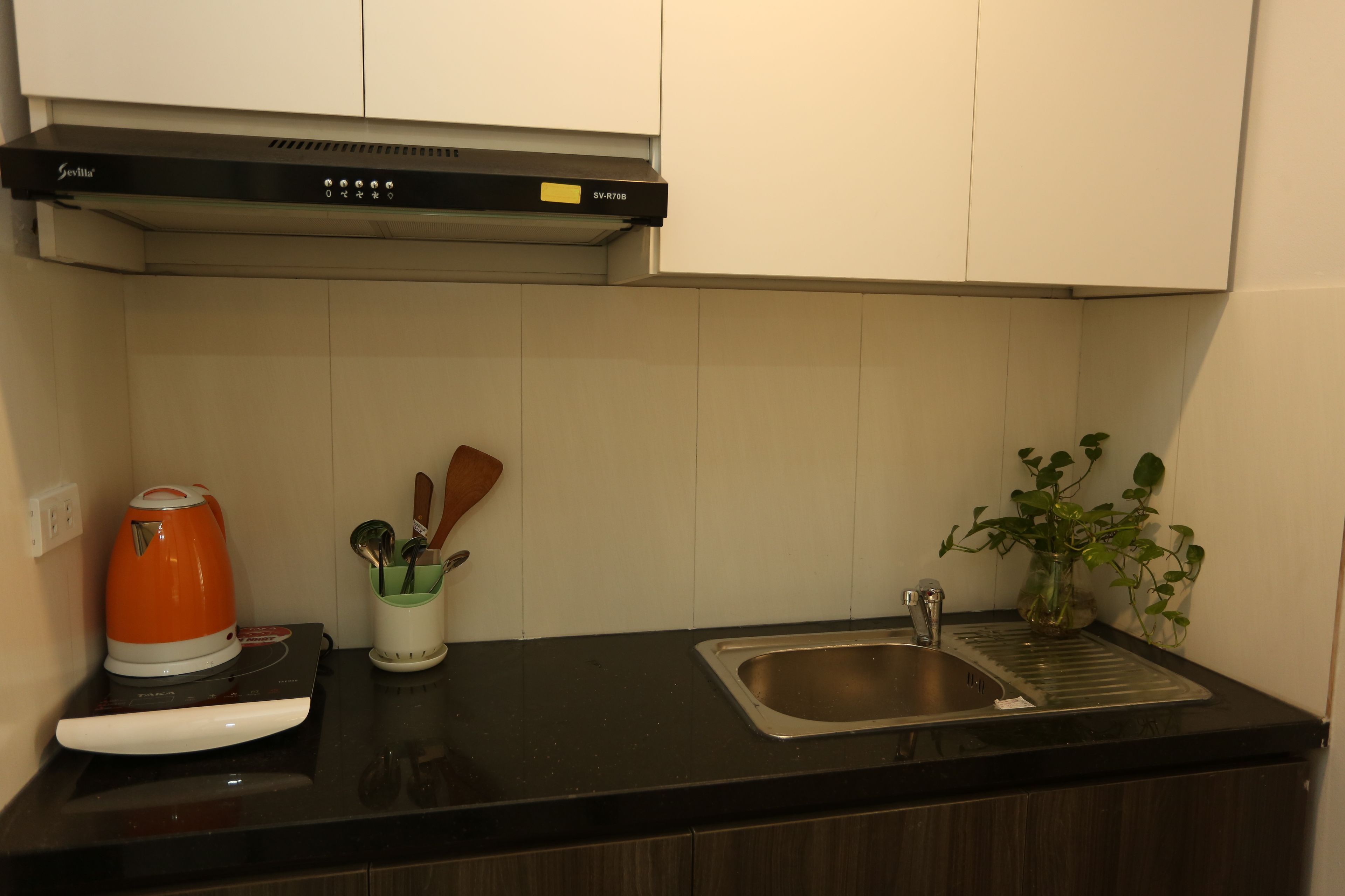 Et køkken med en sort bordplade, en stålvask, en elkedel og en plante.