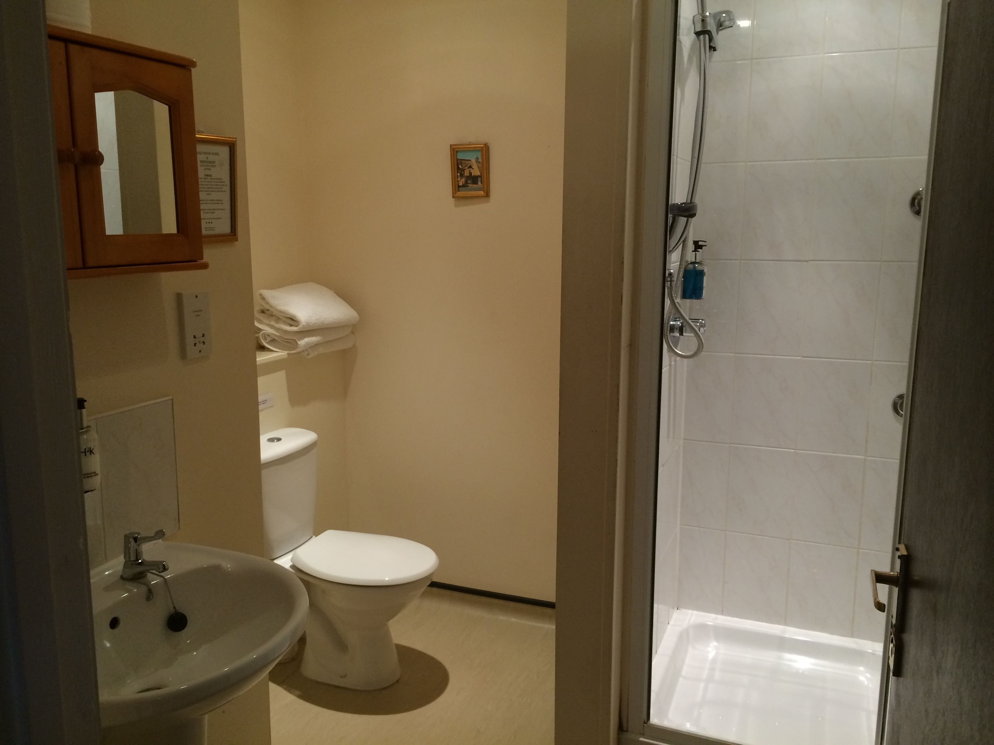 shower, free toiletries, hair dryer, towels