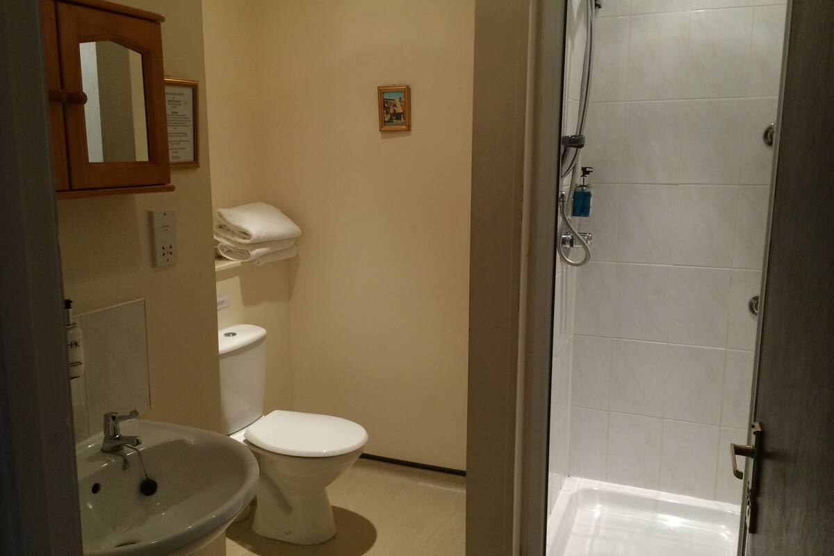 shower, free toiletries, hair dryer, towels