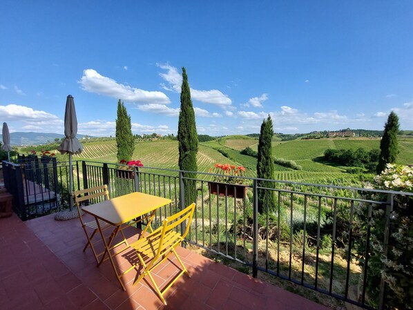 A terrace with a yellow table and chairs, overlooking a vineyard with rows of grapevines and a clear blue sky.