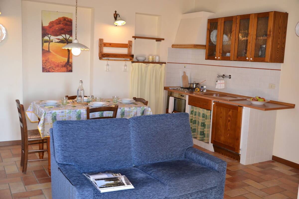 Panoramic Apartment, 2 Bedrooms, Patio | Private kitchen | Full-size fridge, microwave, oven, stovetop