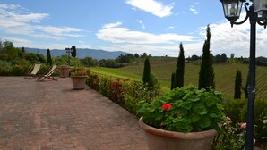 A paved outdoor area with lounge chairs, potted plants, and a street lamp. - Agriturismo Corte in Poggio (Cerreto Guidi)
