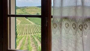 A window with a view of a vineyard. - Agriturismo Corte in Poggio (Cerreto Guidi)