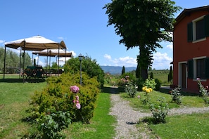 Property grounds - Agriturismo Corte in Poggio (Cerreto Guidi)