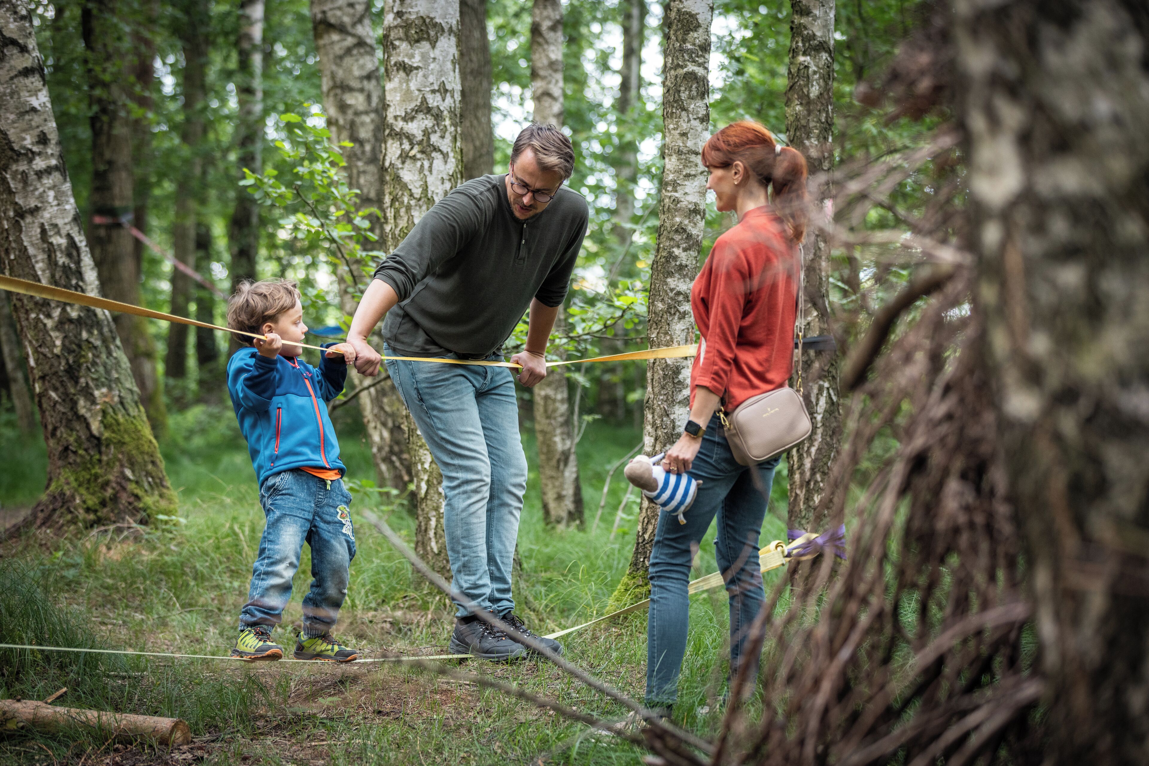 A forest setting with a rope bridge.
