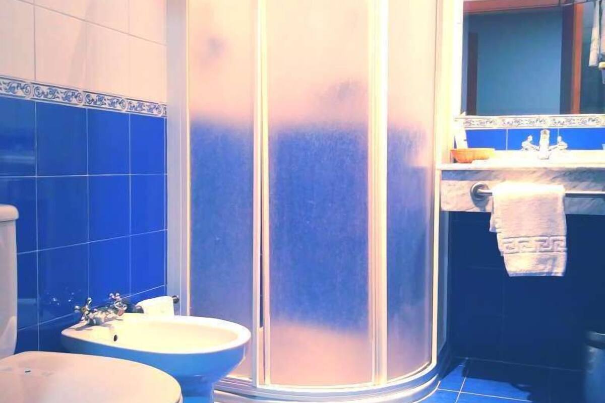 shower, free toiletries, hair dryer, towels