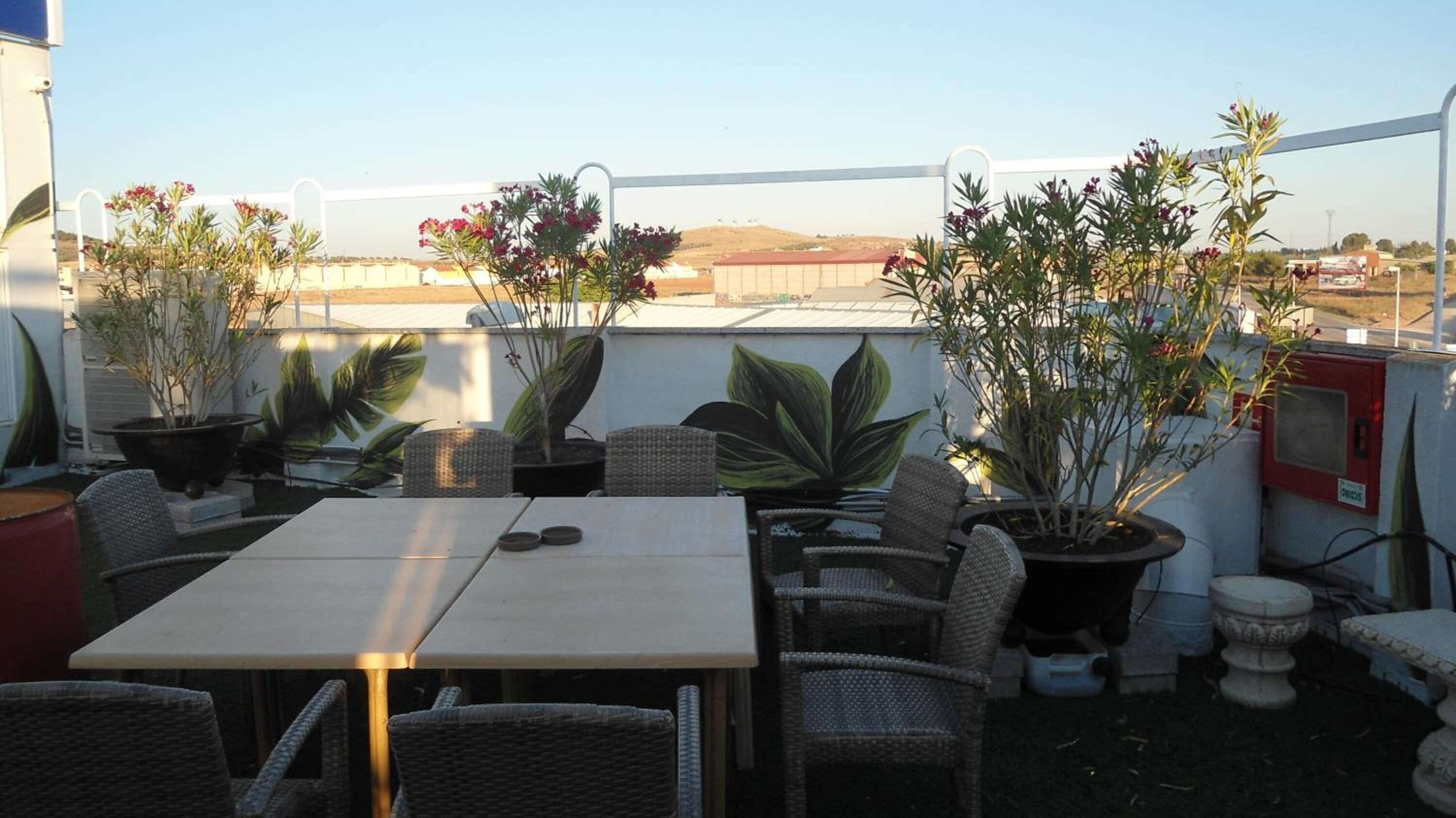 Une terrasse sur le toit, avec une table et des chaises, entourée de plantes en pot et agrémentée d’un élément décoratif aquatique.