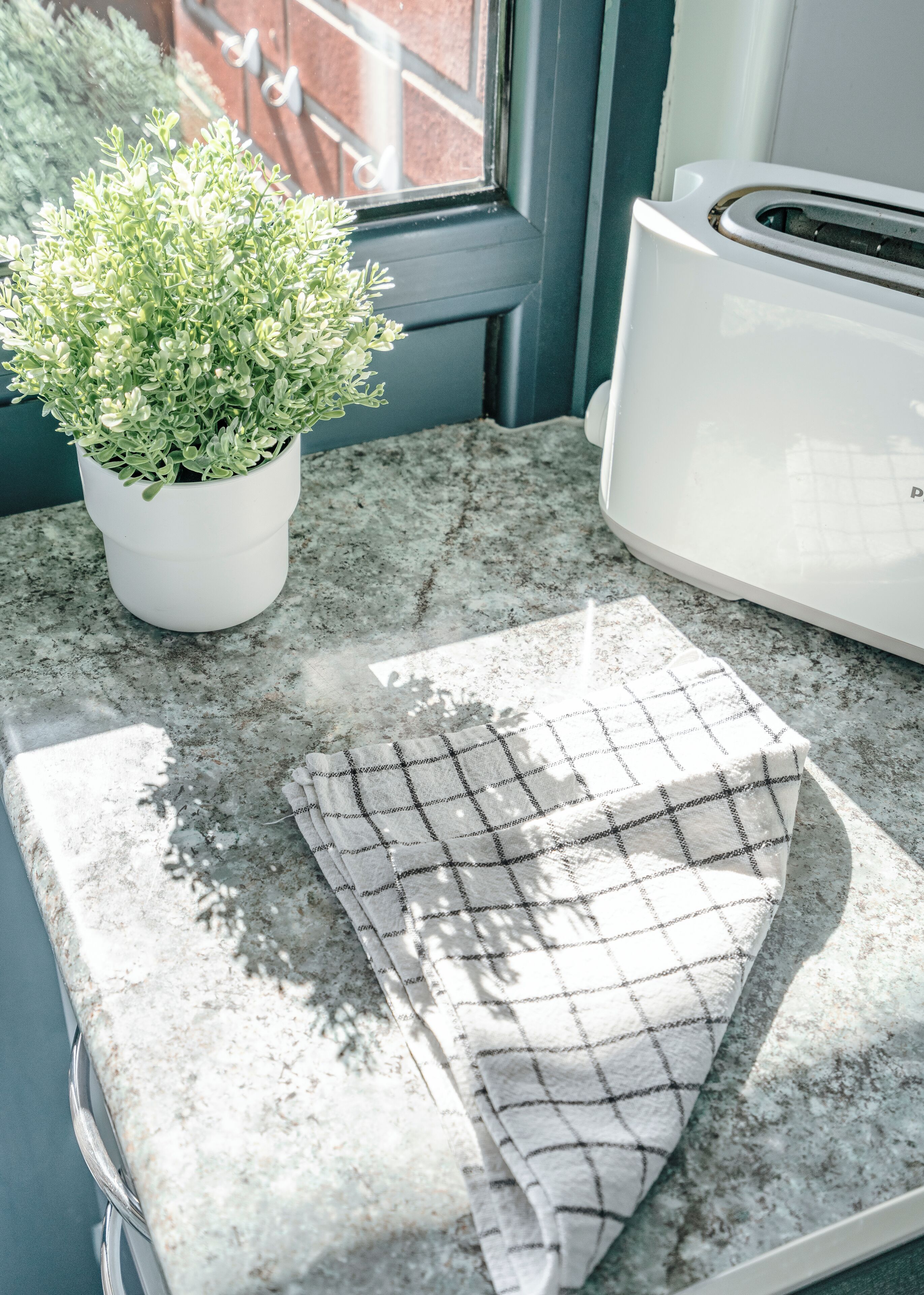 A kitchen counter with a potted plant, a toaster, and a checkered cloth.