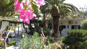 A garden with a palm tree, bougainvillea, and a white building with a balcony. - Eden Ios Rooms (Ios)