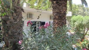A white building with a palm tree and flowering plants in front. - Eden Ios Rooms (Ios)