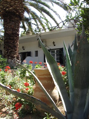 Terrein van de accommodatie