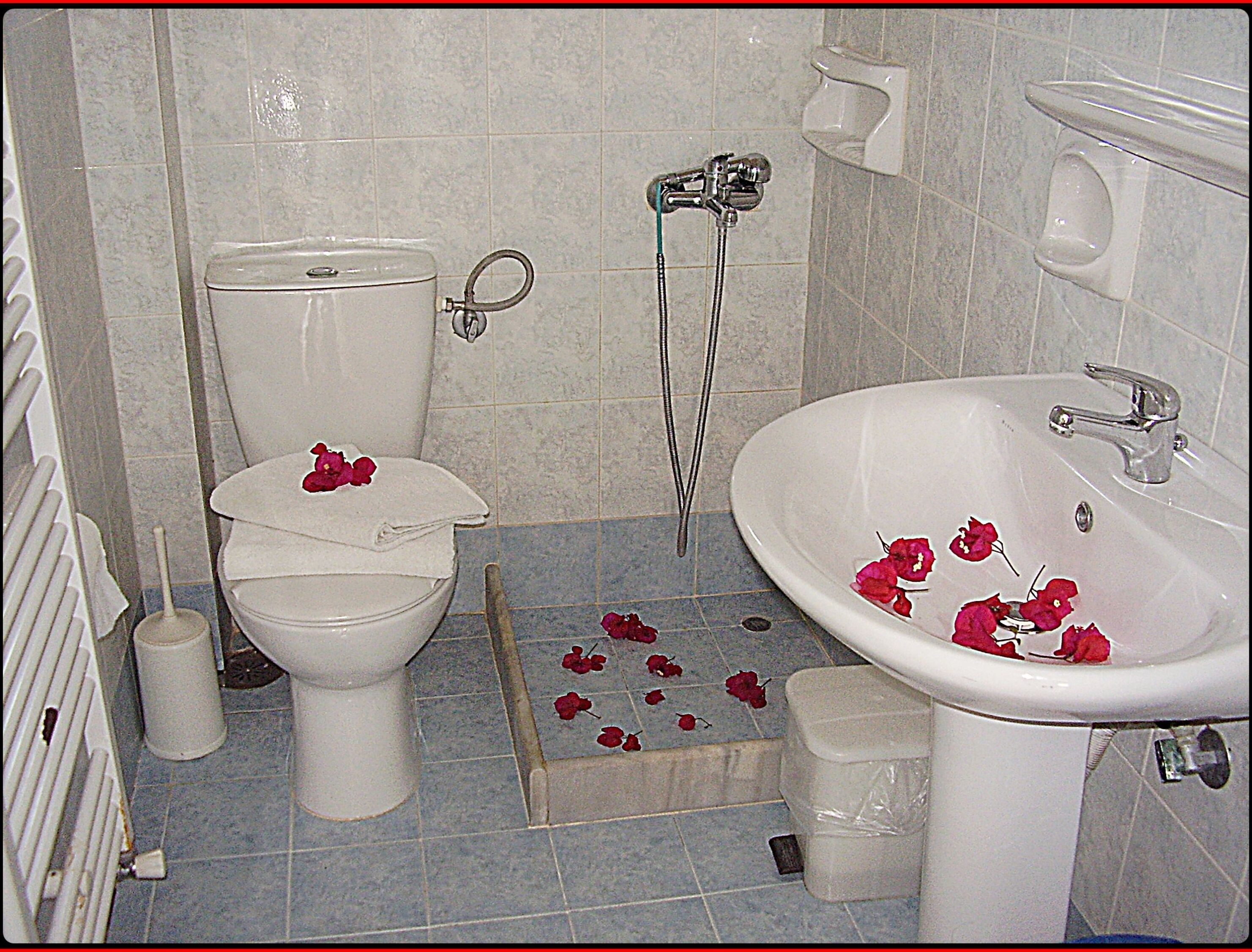 Une salle de bain équipée de toilettes, d’un bidet et d’un lavabo.