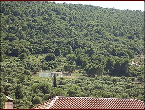 View from room