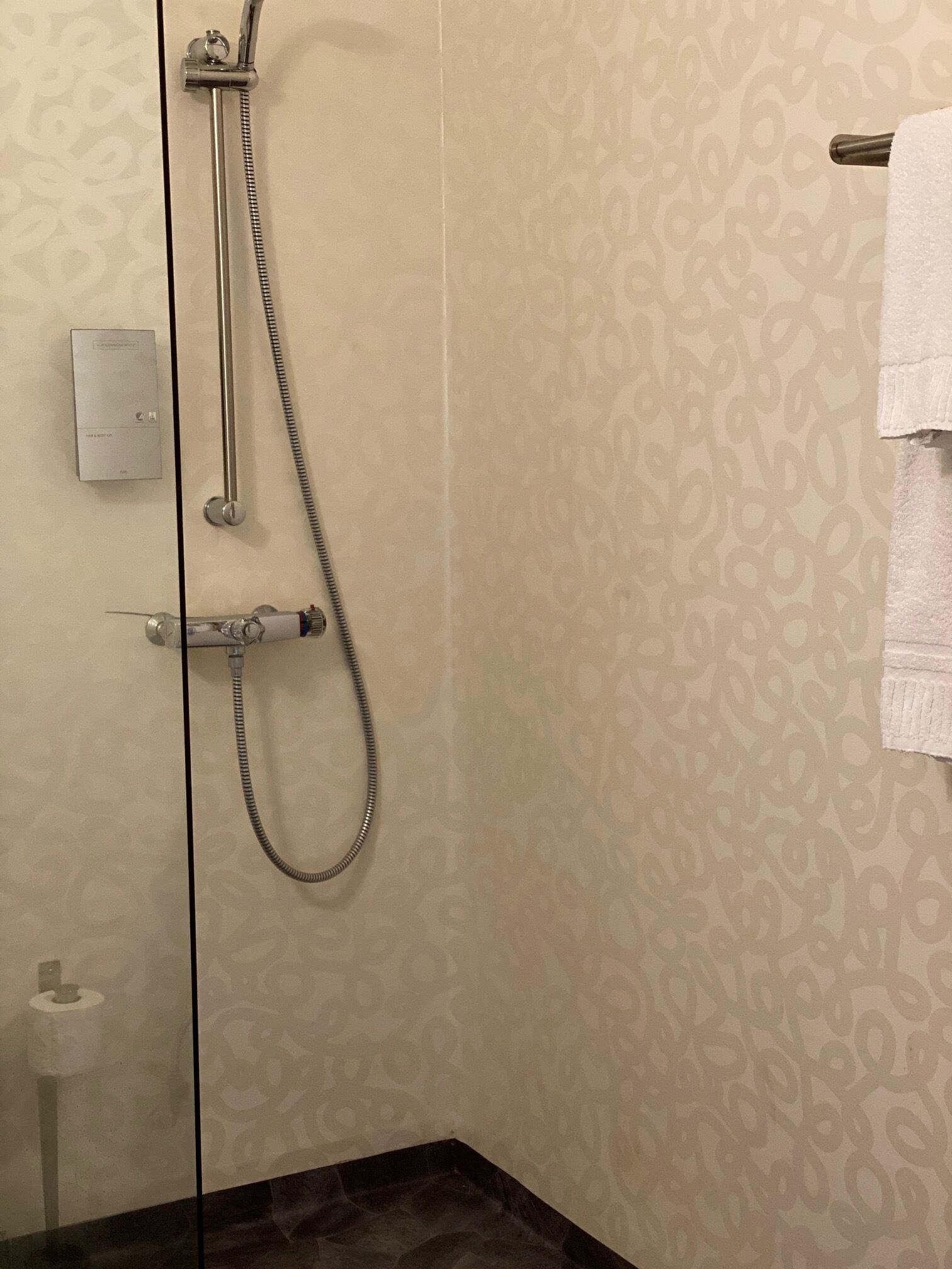 Eine Dusche mit Handbrause und einer fest installierten Bedienoberfläche.