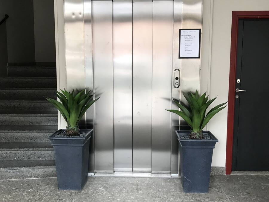 An elevator with a digital display, two potted plants, a reception sign, and a red door.