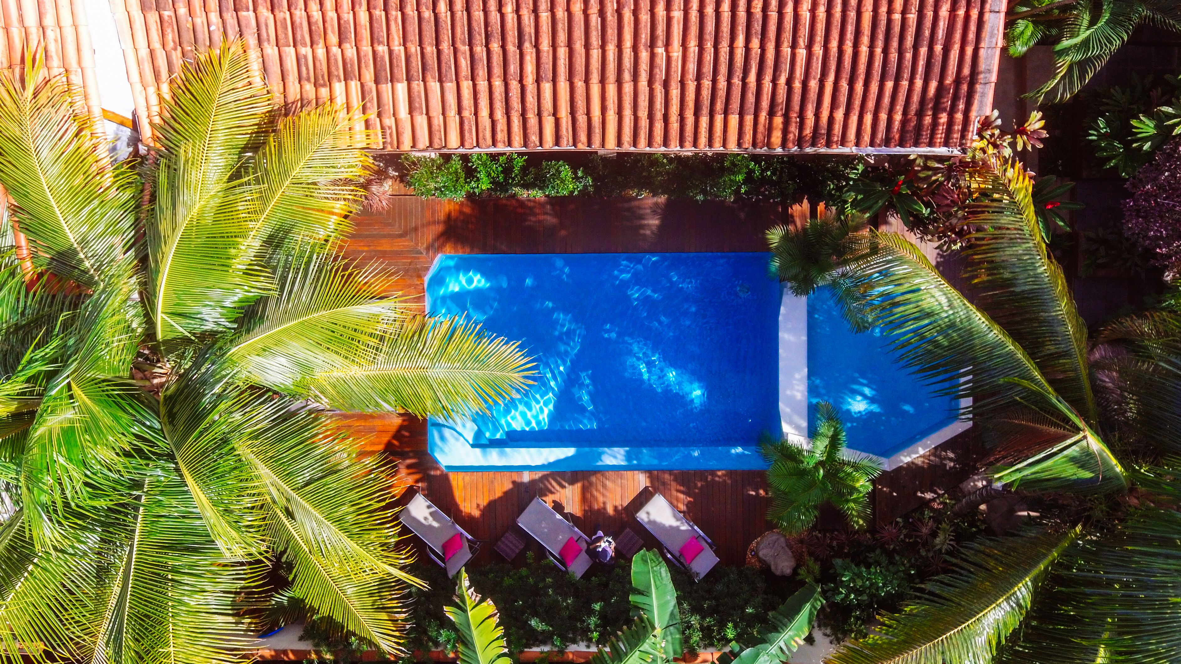 An aerial view of a swimming pool surrounded by lush greenery and a wooden deck.