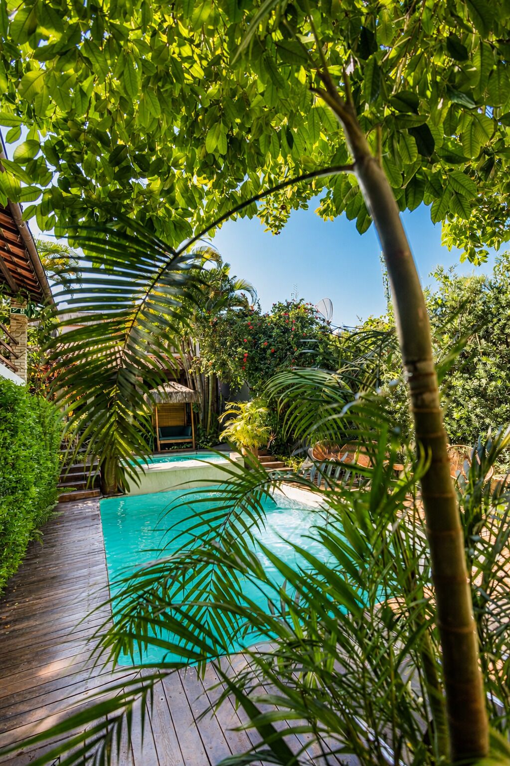A pool surrounded by lush greenery and a wooden deck.