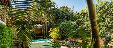 A pool surrounded by lush greenery and a wooden deck.