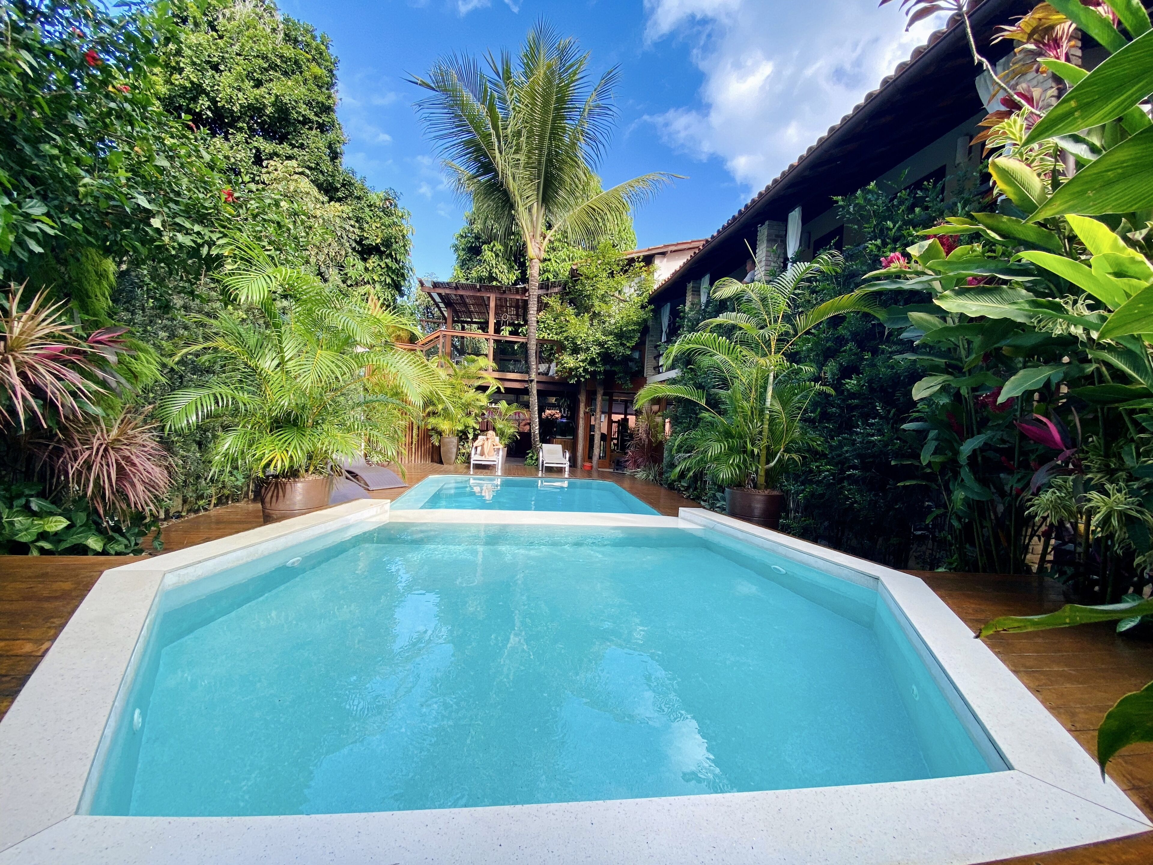 A rectangular swimming pool surrounded by lush tropical plants, with a wooden deck and a building in the background.