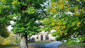 A tree-lined path leading to a building with a stone facade and a small porch. - Agriturismo Bio I Rondinelli (Arcidosso)