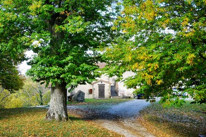 Agriturismo Bio I Rondinelli
