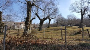 Classic Double or Twin Room, Garden View | Property grounds
