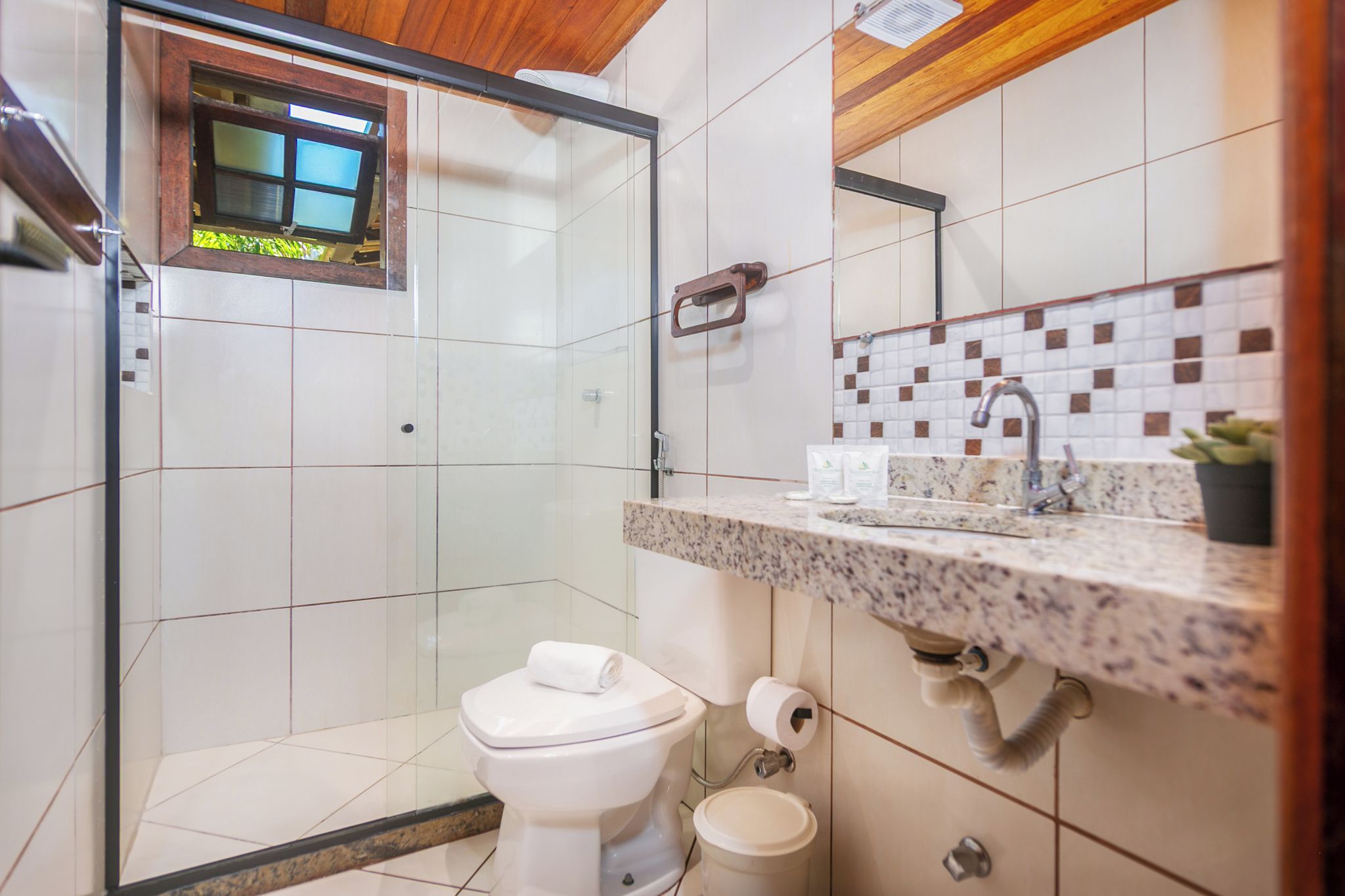 Un baño con cabina de ducha de vidrio, inodoro, lavabo con encimera de mármol y una pequeña planta en maceta.