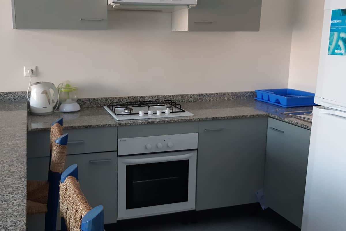 Full-sized fridge, oven, stovetop, electric kettle