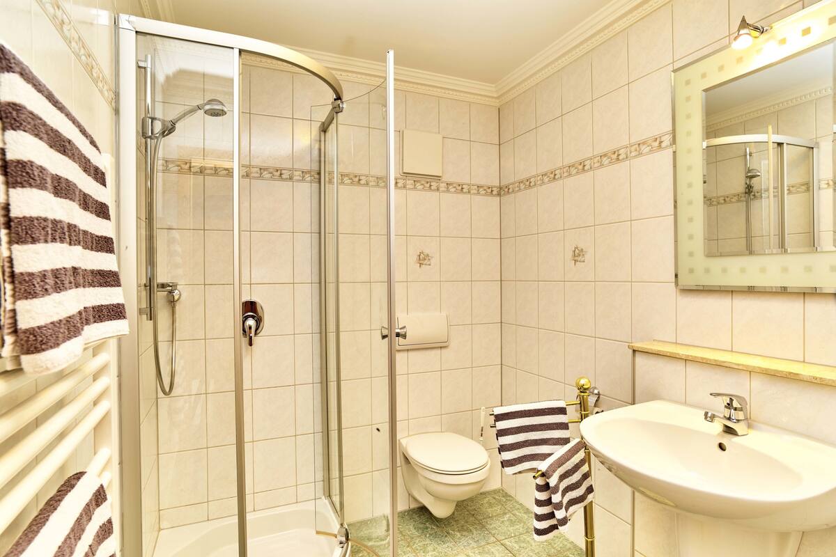 comfort double room (landhotel) | bathroom | shower, hair dryer, towels