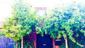 A building with a dark door, surrounded by dense green foliage and flowering plants. - Villa Annakhil Families And Couples (Marrakech)