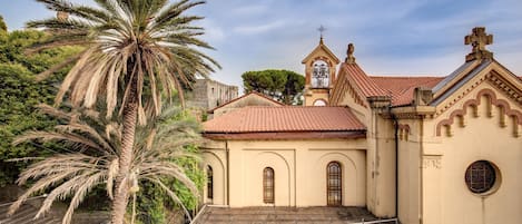 A church with a bell tower, arched windows, and a palm tree in the foreground.