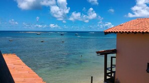 Vista des de l'allotjament