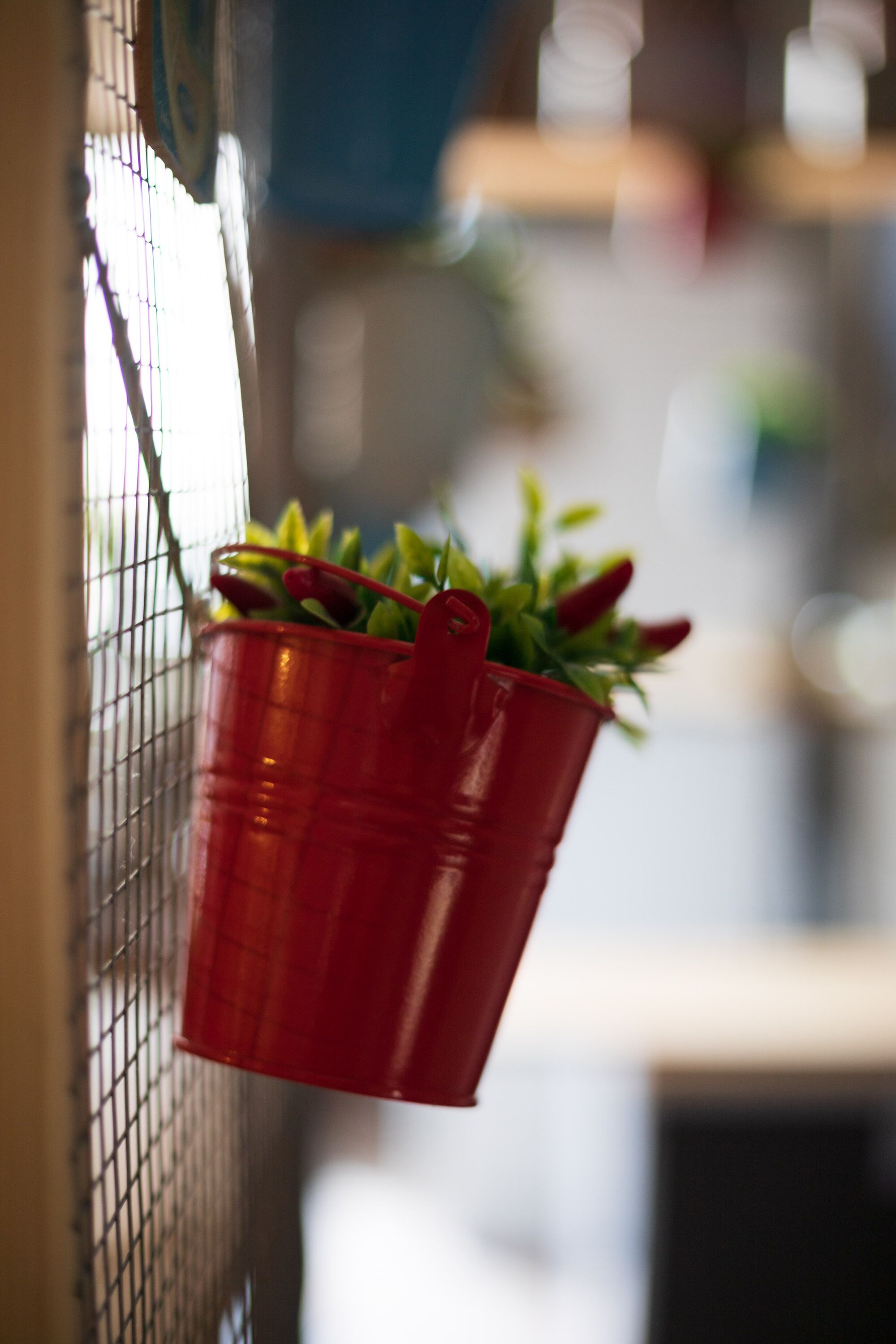 Foto - Terrazza Santa Chiara