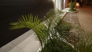 Fachada moderna de hotel con un cartel que dice 'SOLEC Bar & Restaurant' y una entrada bien iluminada.