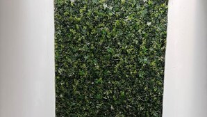 A vertical garden wall with a glass railing and three signs reading 'HOTEL NUBE' at the bottom. - Hotel Nube, Puebla Centro (Puebla)