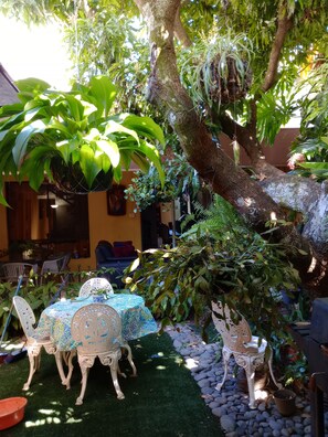 An outdoor seating area with tables and chairs, surrounded by lush greenery and a large tree. - Hotel Antiguo (Antiguo Cuscatlán)