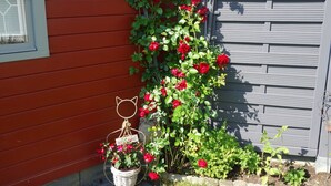 Eine rote Holzwand mit einem weißen Fenster, einem kleinen gelben Vogelhaus und einer hängenden Katzenfigur.