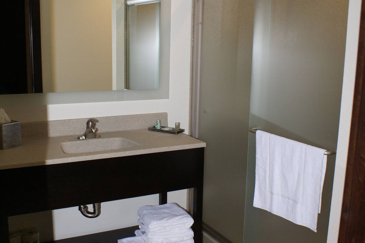 shower, free toiletries, hair dryer, towels